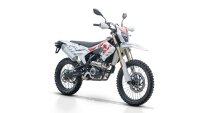 QJ Motor COV 125 X