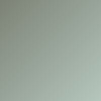 Meteorite Grey